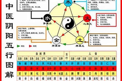 自己的五行